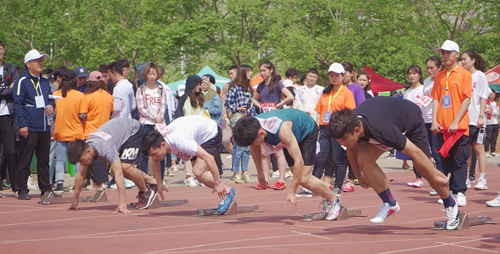 DSC06518_副本.jpg